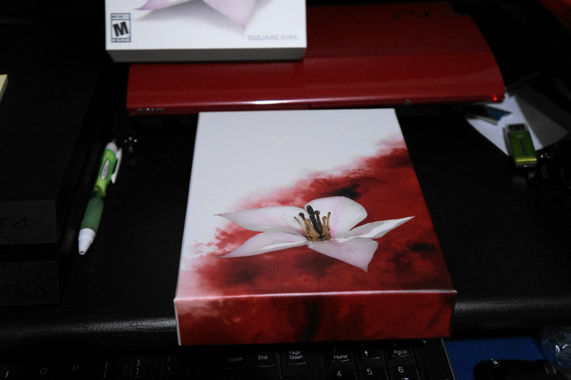 Illustration for article titled Drakengard 3 Collector Edition Unboxed
